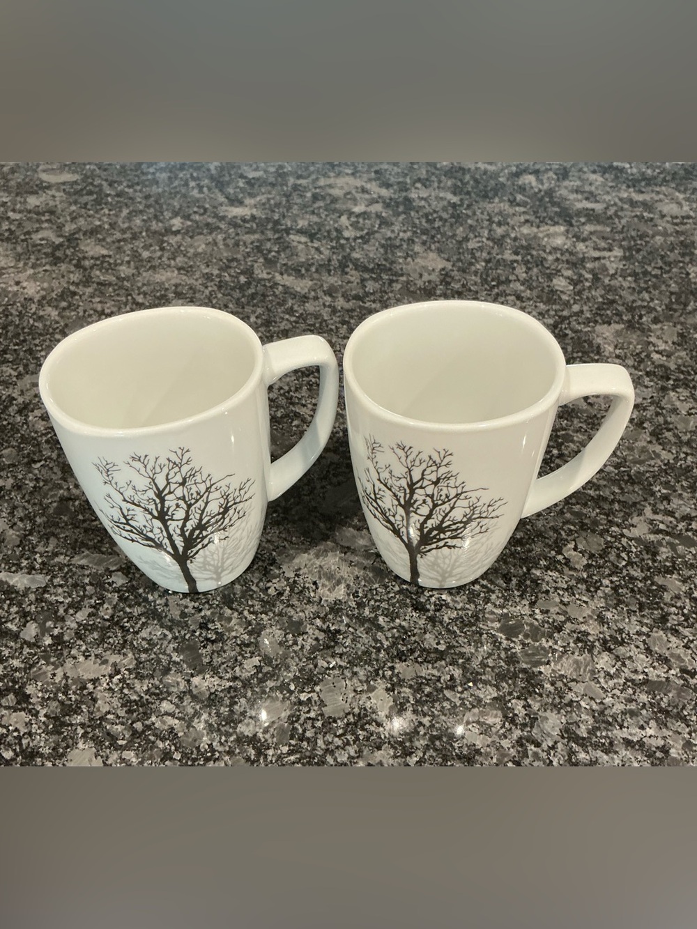 Set of 2 CORELLE Coordinates Coffee Mugs Timber Shadows